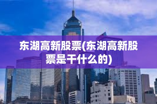東湖高新股票(東湖高新股票是干什么的)