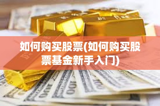 如何購買股票(如何購買股票基金新手入門) 如何購買股票(如何購買股票基金新手入門)