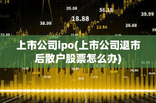 上市公司ipo(上市公司退市后散戶股票怎么辦) 上市公司ipo(上市公司退市后散戶股票怎么辦)