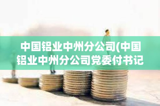 中國鋁業中州分公司(中國鋁業中州分公司黨委付書記)