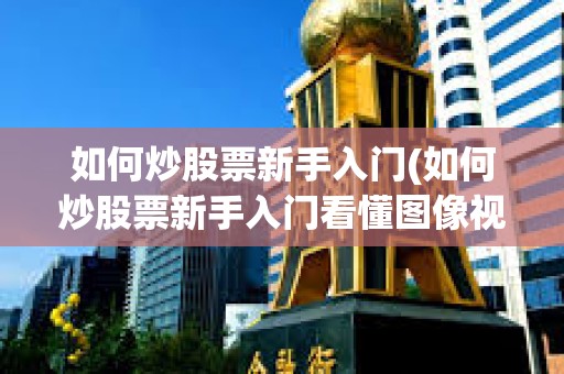 如何炒股票新手入門(如何炒股票新手入門看懂圖像視頻)