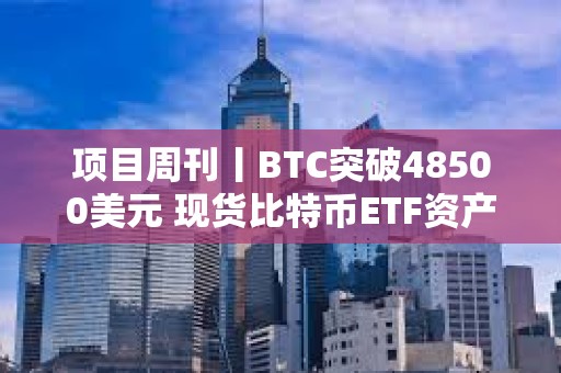 項目周刊丨BTC突破48500美元 現貨比特幣ETF資產管理規模達100億美元里程碑