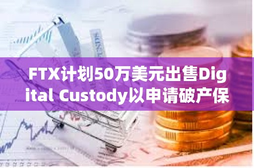 FTX計劃50萬美元出售Digital Custody以申請破產保護