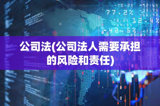 公司法(公司法人需要承擔的風險和責任)