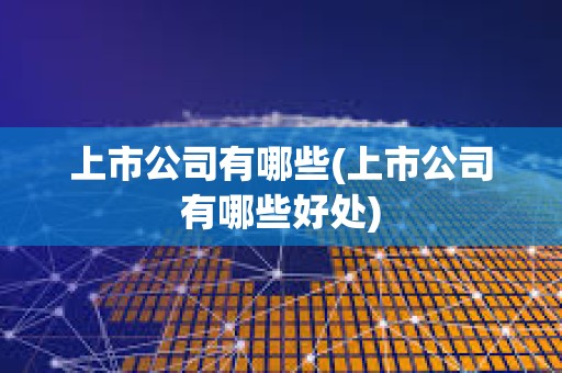 上市公司有哪些(上市公司有哪些好處) 上市公司有哪些(上市公司有哪些好處)