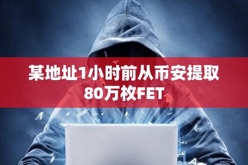 某地址1小時前從幣安提取80萬枚FET