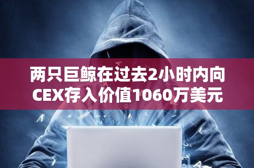 兩只巨鯨在過去2小時(shí)內(nèi)向CEX存入價(jià)值1060萬美元的SHIB和PEPE