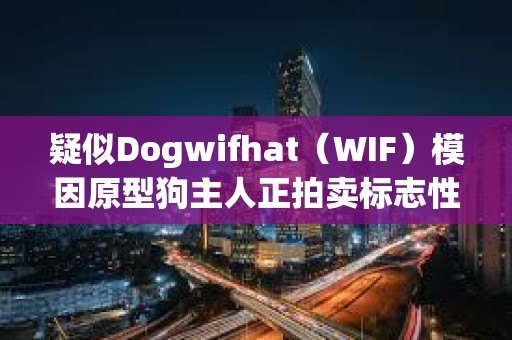 疑似Dogwifhat（WIF）模因原型狗主人正拍賣標志性照片NFT