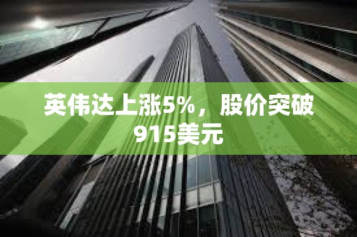 英偉達上漲5%，股價突破915美元