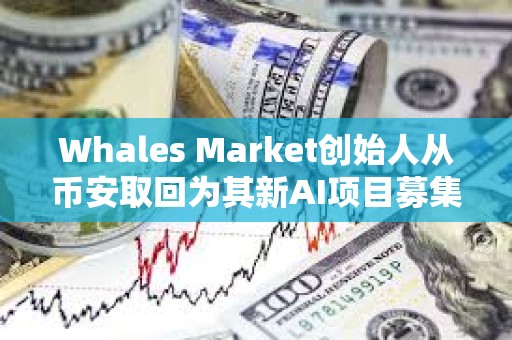 Whales Market創始人從幣安取回為其新AI項目募集的10%SOL