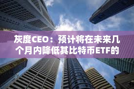 灰度CEO：預計將在未來幾個月內降低其比特幣ETF的費用