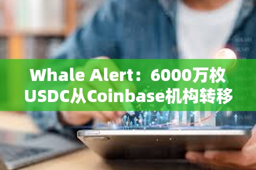 Whale Alert：6000萬(wàn)枚USDC從Coinbase機(jī)構(gòu)轉(zhuǎn)移到未知的錢(qián)包