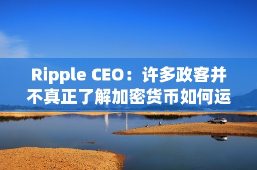 Ripple CEO：許多政客并不真正了解加密貨幣如何運作
