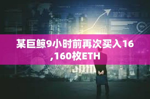 某巨鯨9小時前再次買入16,160枚ETH