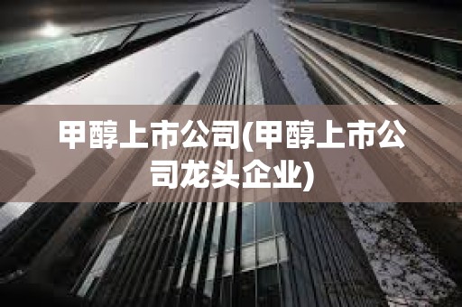 甲醇上市公司(甲醇上市公司龍頭企業)