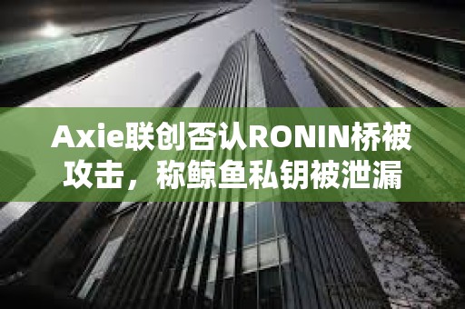 Axie聯創否認RONIN橋被攻擊，稱鯨魚私鑰被泄漏