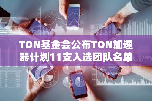 TON基金會(huì)公布TON加速器計(jì)劃11支入選團(tuán)隊(duì)名單