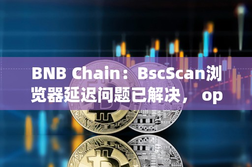 BNB Chain：BscScan瀏覽器延遲問題已解決， opBNB仍在處理