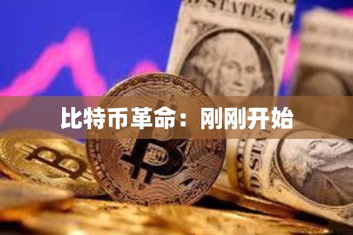 比特幣革命：剛剛開始