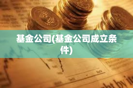 基金公司(基金公司成立條件)