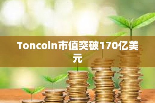 Toncoin市值突破170億美元