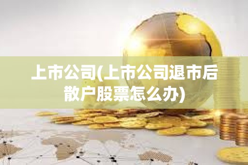 上市公司(上市公司退市后散戶股票怎么辦)