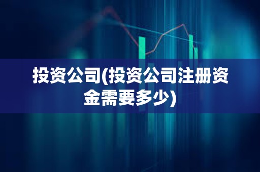 投資公司(投資公司注冊資金需要多少)