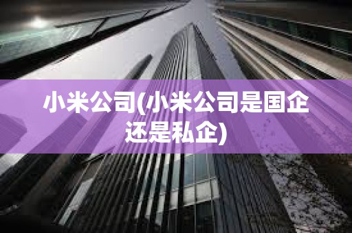 小米公司(小米公司是國企還是私企)