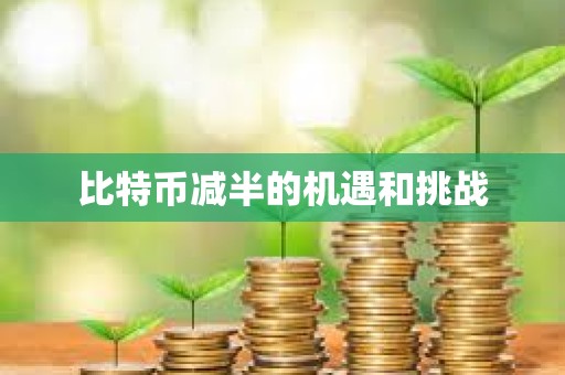 比特幣減半的機(jī)遇和挑戰(zhàn)