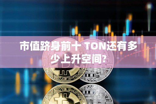 市值躋身前十 TON還有多少上升空間?