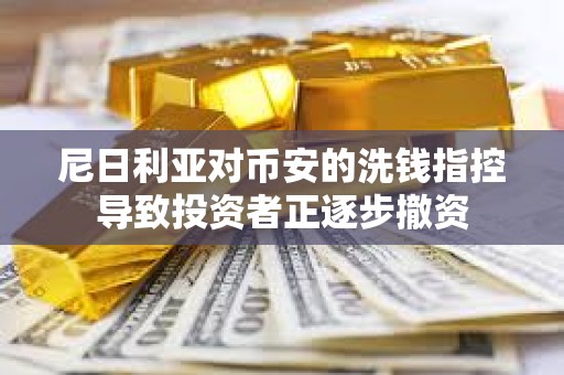 尼日利亞對幣安的洗錢指控導致投資者正逐步撤資