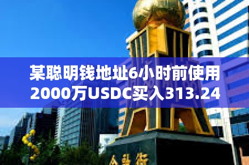 某聰明錢地址6小時(shí)前使用2000萬USDC買入313.24枚WBTC 某聰明錢地址6小時(shí)前使用2000萬USDC買入313.24枚WBTC