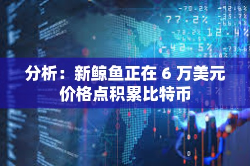 分析：新鯨魚(yú)正在 6 萬(wàn)美元價(jià)格點(diǎn)積累比特幣