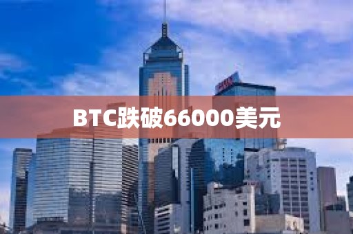 BTC跌破66000美元