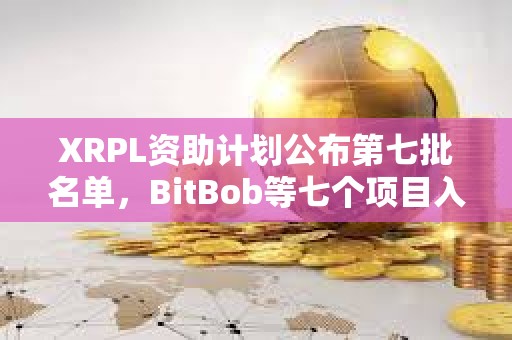 XRPL資助計劃公布第七批名單，BitBob等七個項目入選