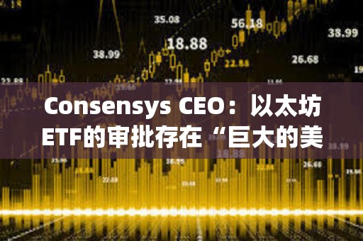 Consensys CEO：以太坊ETF的審批存在“巨大的美國政治問題”