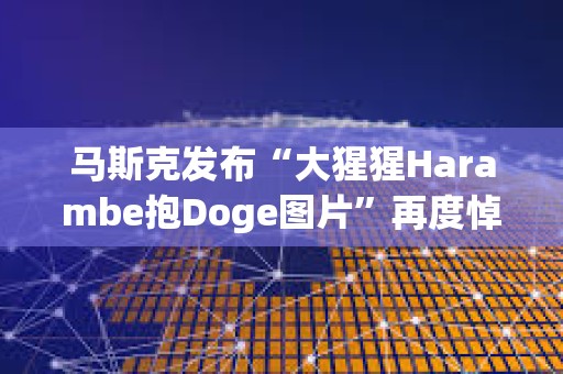 馬斯克發布“大猩猩Harambe抱Doge圖片”再度悼念DOGE原型柴犬KABOSU