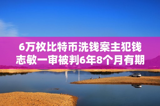 6萬枚比特幣洗錢案主犯錢志敏一審被判6年8個月有期徒刑 6萬枚比特幣洗錢案主犯錢志敏一審被判6年8個月有期徒刑