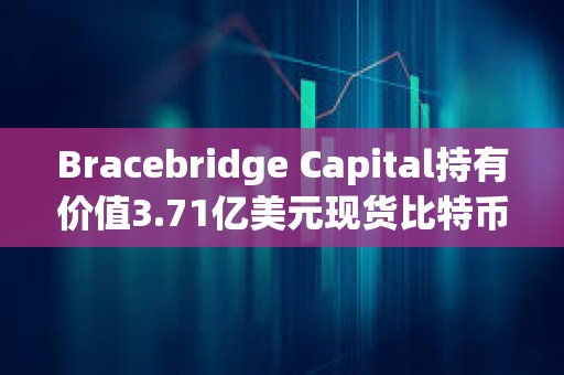 Bracebridge Capital持有價值3.71億美元現貨比特幣ETF，系IBIT和ARKB頭號持有人