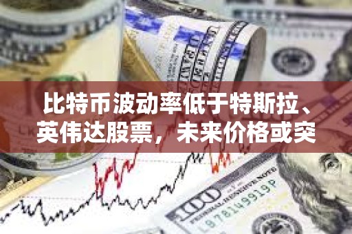 比特幣波動率低于特斯拉、英偉達股票，未來價格或突破10萬美元