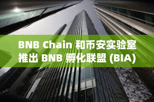 BNB Chain 和幣安實(shí)驗(yàn)室推出 BNB 孵化聯(lián)盟 (BIA)