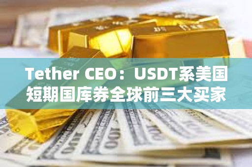 Tether CEO：USDT系美國短期國庫券全球前三大買家之一