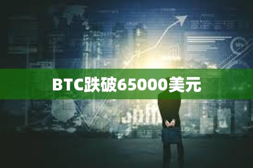 BTC跌破65000美元