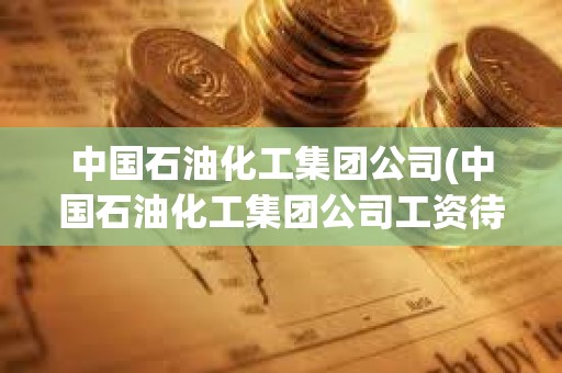 中國石油化工集團公司(中國石油化工集團公司工資待遇) 中國石油化工集團公司(中國石油化工集團公司工資待遇)
