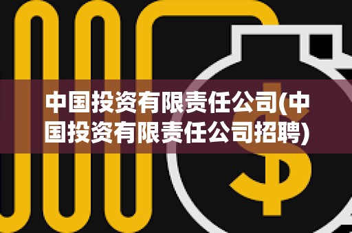 中國投資有限責任公司(中國投資有限責任公司招聘)