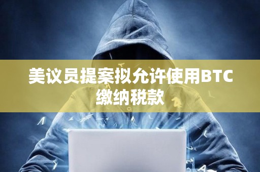 美議員提案擬允許使用BTC繳納稅款