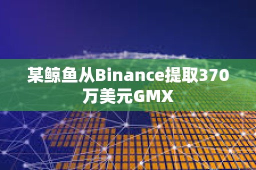 某鯨魚從Binance提取370萬美元GMX