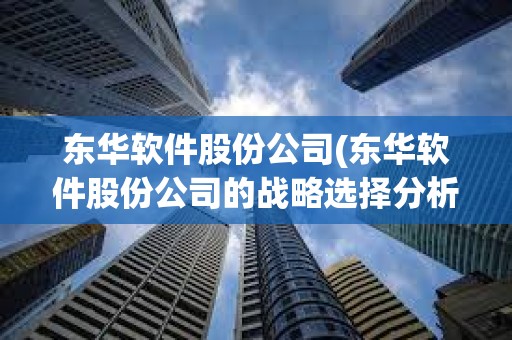 東華軟件股份公司(東華軟件股份公司的戰(zhàn)略選擇分析)