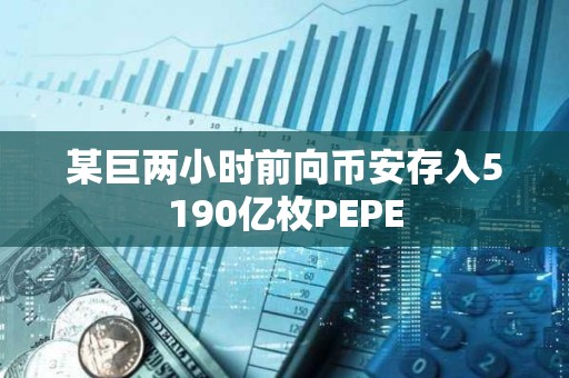 某巨兩小時前向幣安存入5190億枚PEPE