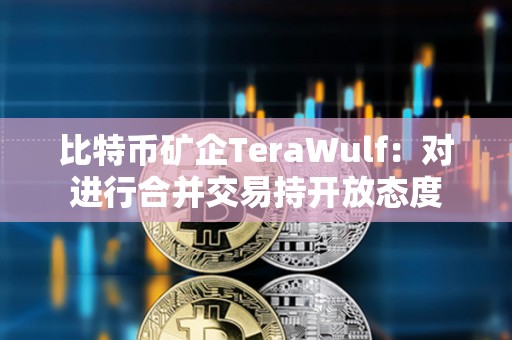 比特幣礦企TeraWulf：對進行合并交易持開放態(tài)度